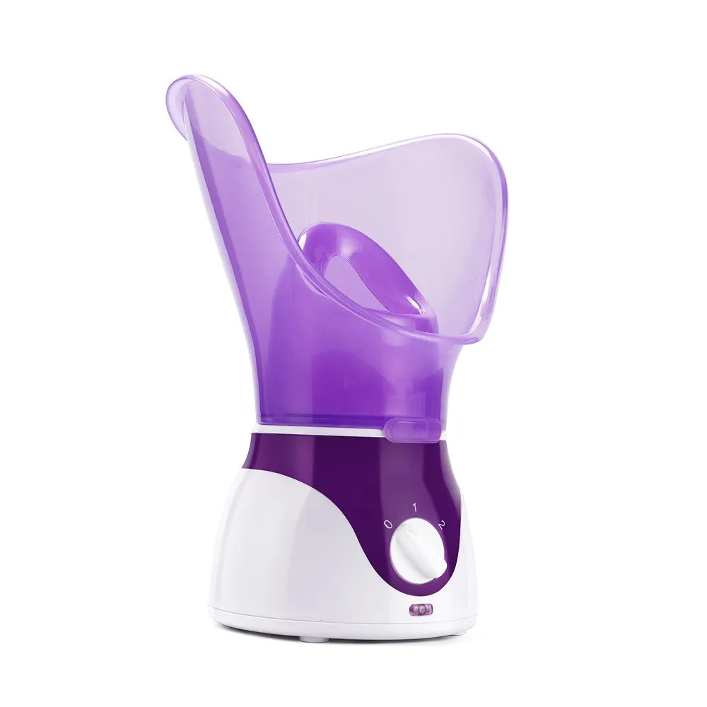Face Steamer 2